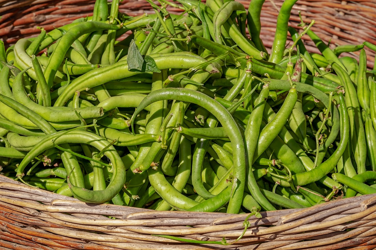Bush beans